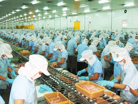 Workers process tra fish for exports at a plant in the Mekong Delta (Photo: SGGP) Workers process tra fish for exports at a plant in the Mekong Delta (Photo: SGGP)